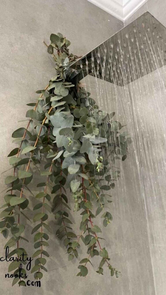 Create a Spa-Like Atmosphere with a DIY Eucalyptus Shower Bundle