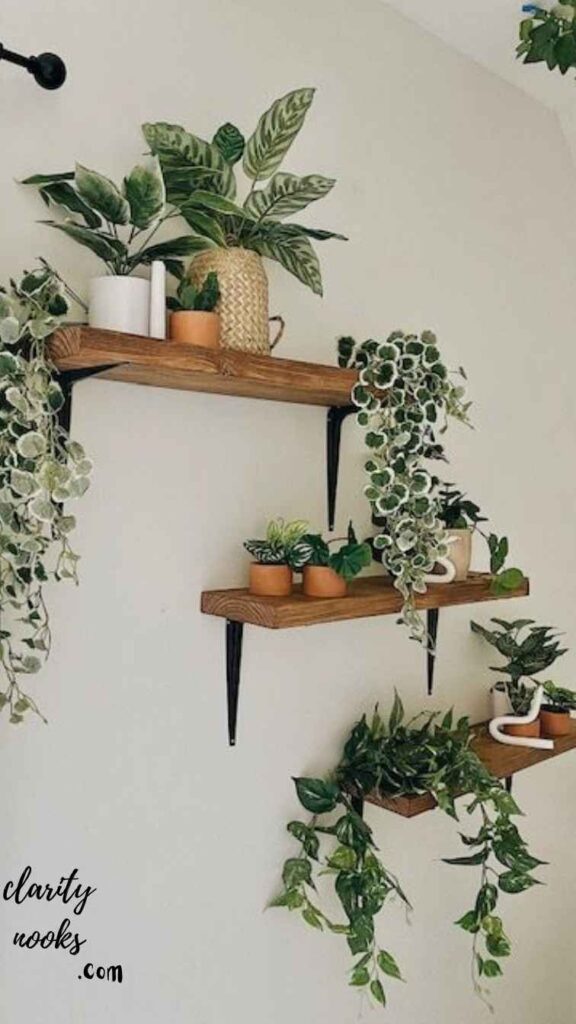 Introduce Plants (Even If You Kill Everything)