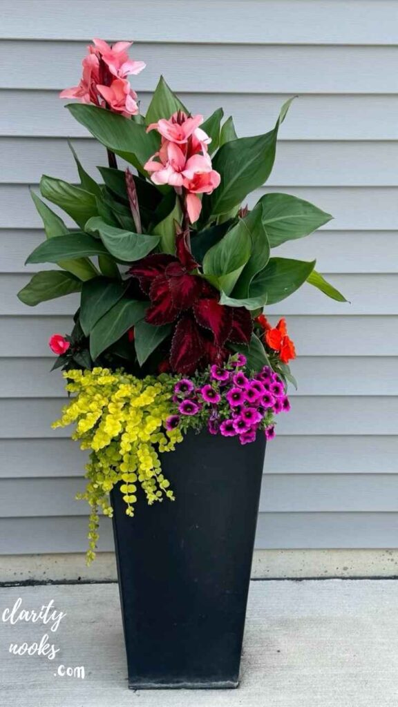 Use Container Gardens for Year-Round Color