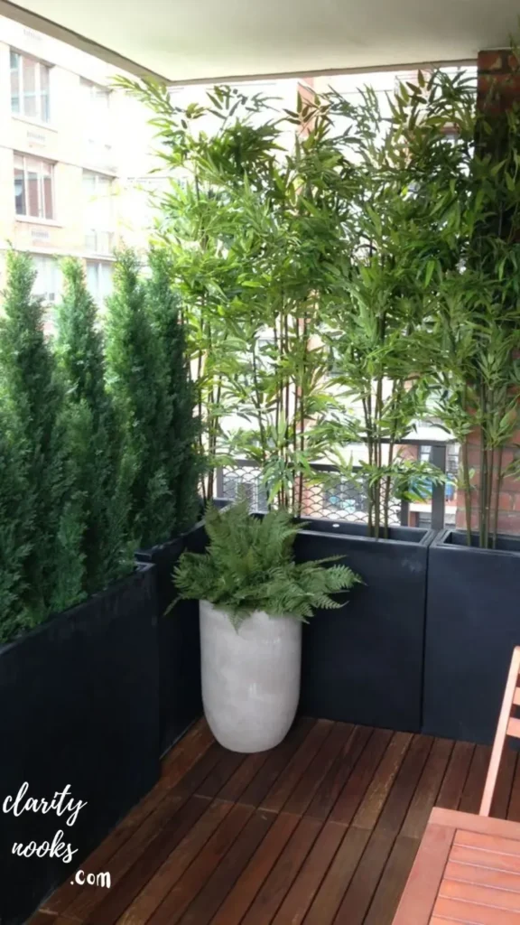 Tall Potted Plants in a Strategic Arrangement