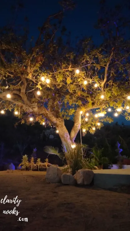 Fairy Light Tree Wrapping The Enchanting Year-Round Garden Feature