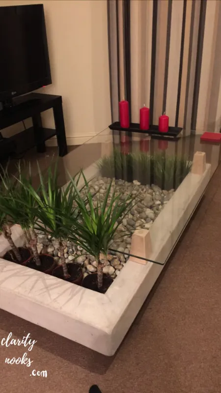 DIY Concrete Planter Trio