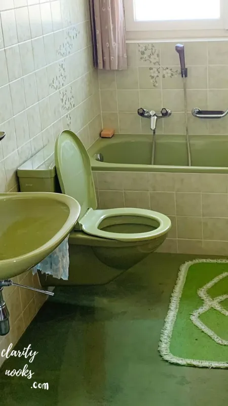 Reglaze or Paint an Old Bathtub in a Statement Color