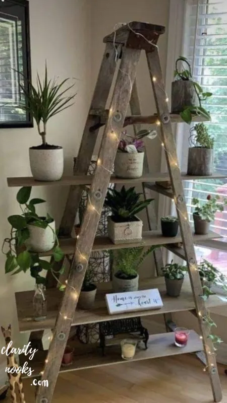 Repurposed Ladder Plant Stand