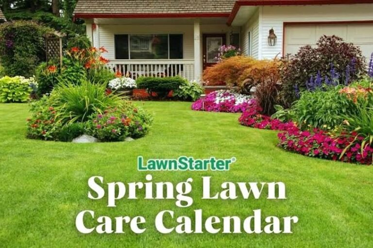 A Seasonal Lawn Care Calendar for Bentonville, Arkansas Homes